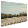 Jai Johnson 'Cotton Field In Autumn' Canvas Art, 47 x 35