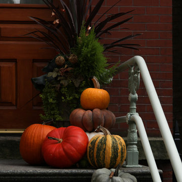Photo Tour: Chicago Neighborhoods Dress Up for Fall