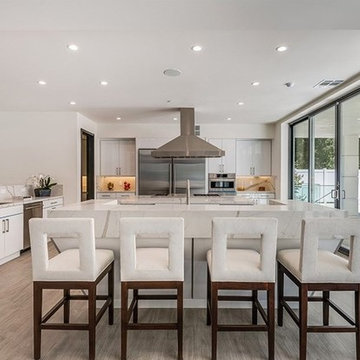 Encino Kitchen Remodel
