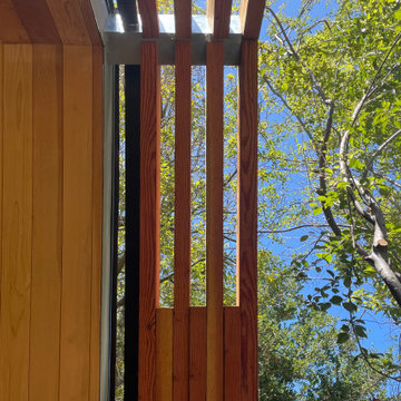TRELLIS ADU