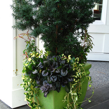 Great Design Plants
