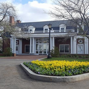 Spring Flowers