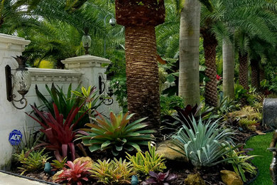 マイアミにある地中海スタイルのおしゃれな庭の写真