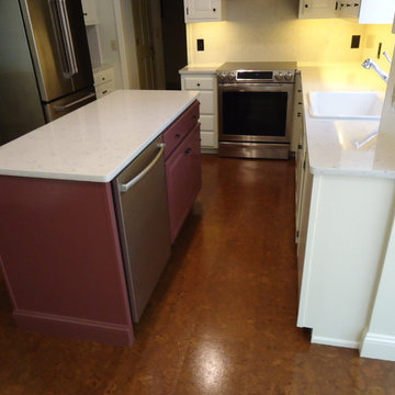 Kitchen Remodel with addition