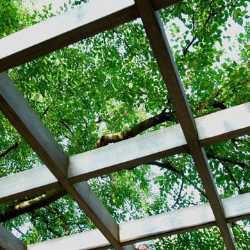 Flagstone Patio & Pergola in Chevy Chase