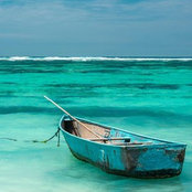 Alfonso Sanchez's photo