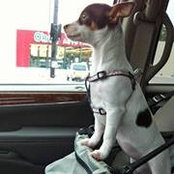 Beth Hutchens's photo