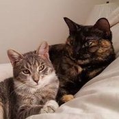 Alysyn Harvey-Green's photo