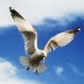 elvira lopez's photo