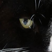 Aurore Valentin's photo