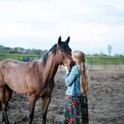 Allison Palmer's photo