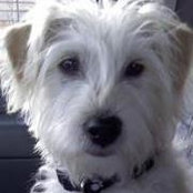 Dawn Barthel's photo