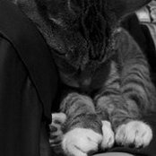 Foto von Arisa Mogi