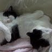 Kristin Amato's photo