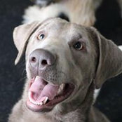 Melanie Morris's photo