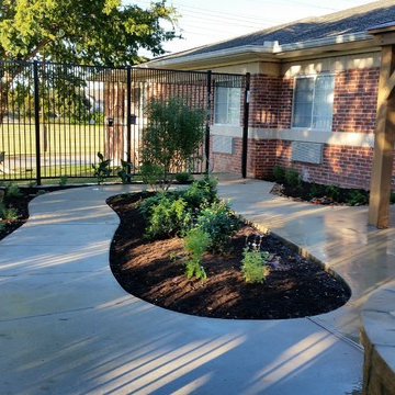 A habitat garden with wheelchair access