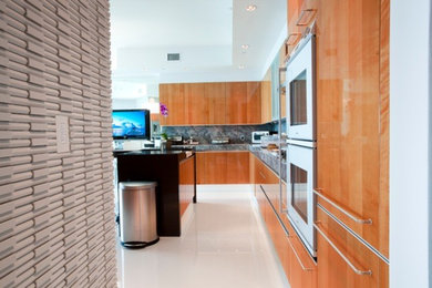 Kitchen - contemporary kitchen idea in Miami