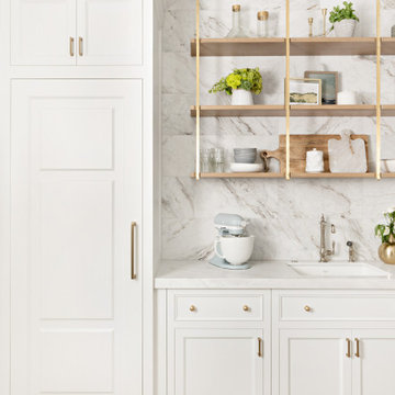 Pantry With Paneled Appliances