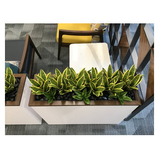 Healthcare-Waiting Area Planters - Modern - Seattle - by Legacy Group ...