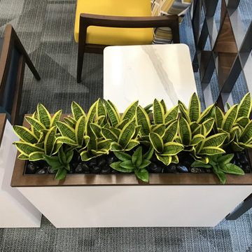 Healthcare-Waiting Area Planters