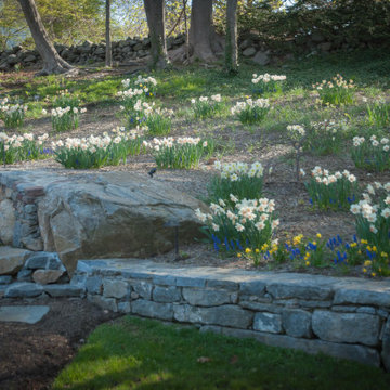 Before and After images of new garden installations