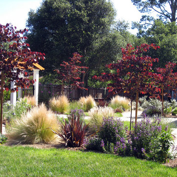 Mediterranean garden with curving pathways of DG and drought tolerant plants