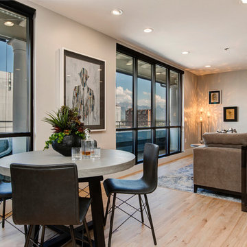 Salt Lake City Penthouse Remodel