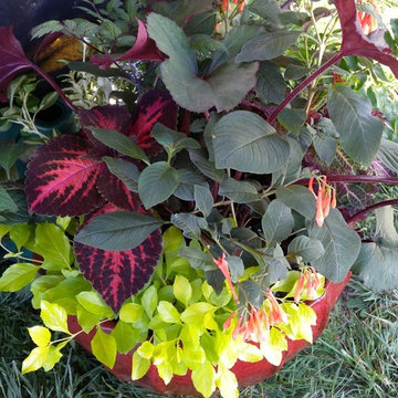Container Gardens