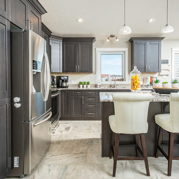 Stony Plain Project - Open Concept