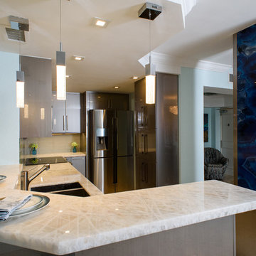 Contemporary Kitchen Remodel (Miami, FL)