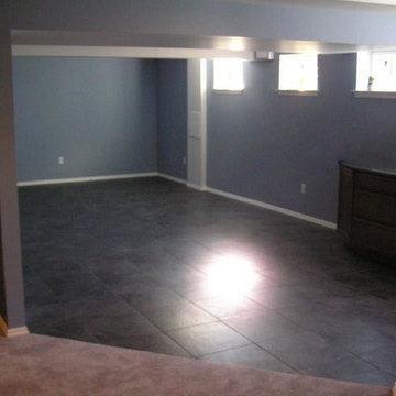 Finished Basement / Lower Level