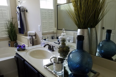 Home design - contemporary home design idea in Raleigh