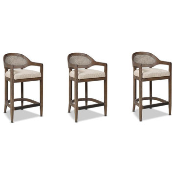 Americana 26" Cane Back Counter Height Bar Stool Taupe Beige 3 Piece Set