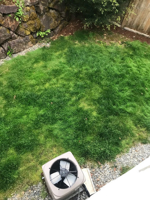 kid friendly backyard