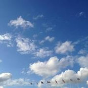 Jasmine Chen's photo