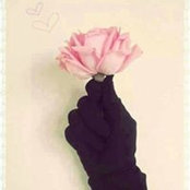رضوى هشام's photo
