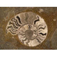 CreationStone's profile photo