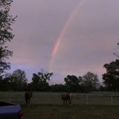 Charnie Renfro's photo