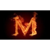 Mohan Raj's photo