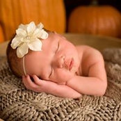 Jill Haycraft's photo
