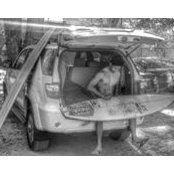 Jeremy Lim's photo