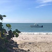 Peggy de Castro's photo