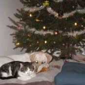 Anne Ongaro's photo