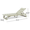 Melissa Outdoor Acacia Wood Chaise Lounge, Set of 4, Light Gray Wash, Gray Metal