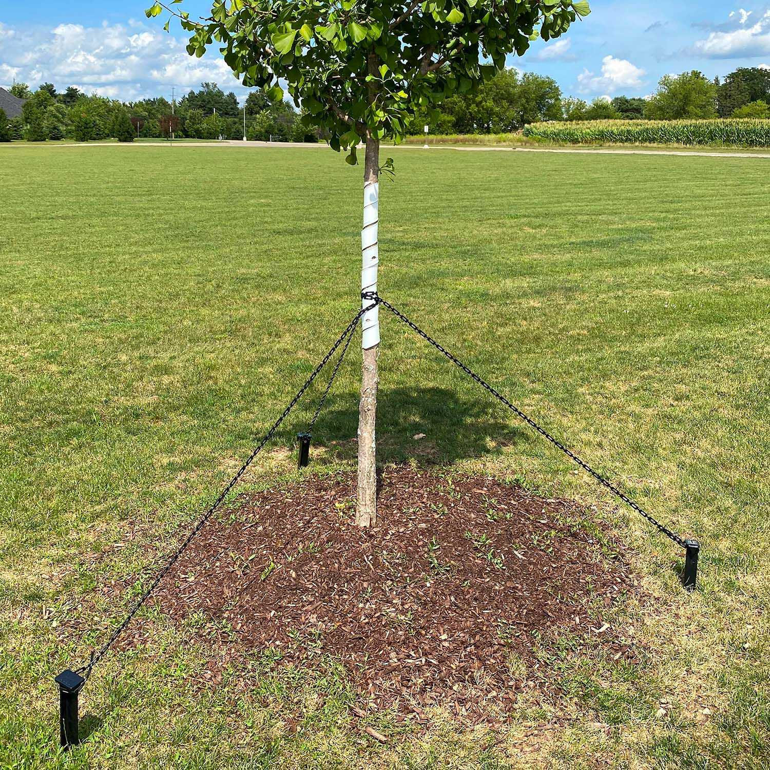 Master Mark Tree Support Chain Lock, 1/2