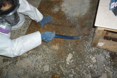 Best Mold Removal NJ