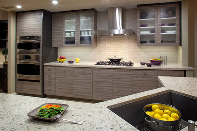 Kitchen - contemporary kitchen idea in San Francisco