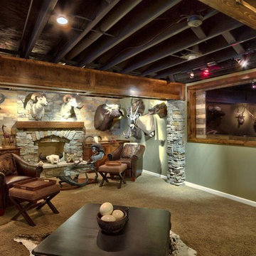 Safari to Mountains Overland Park Basement Remodel