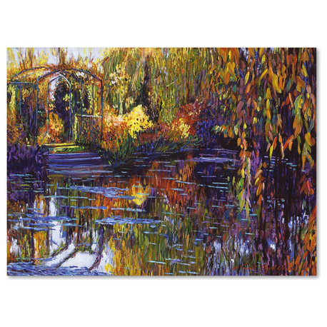 David Lloyd Glover 'Tapestry Reflection' Canvas Art, 35"x47"