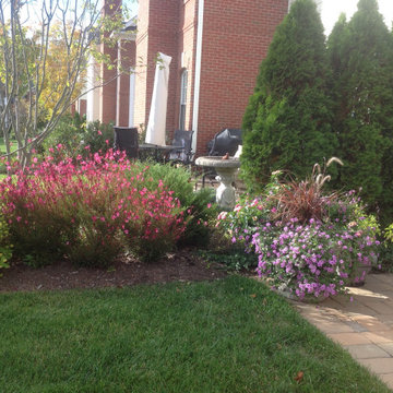 Patio garden